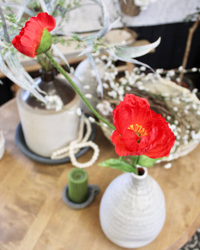 Red Poppy Stem