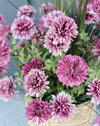 Mauve Mum “Drop-In”