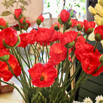 Red Poppy Stem