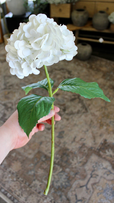 White Hydrangea Stem