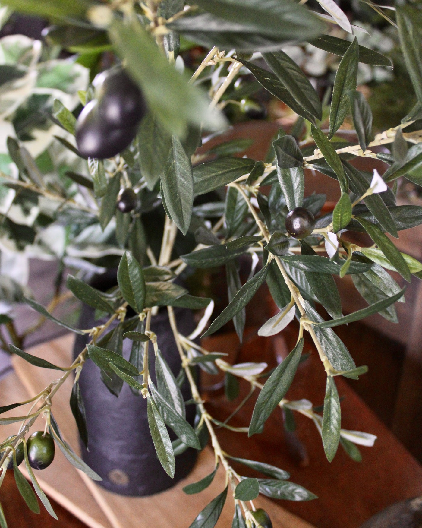 Olive Spray