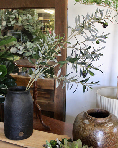 Olive Spray