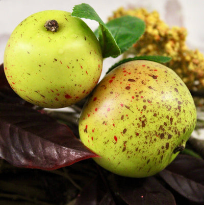 Autumn Apple Wreath
