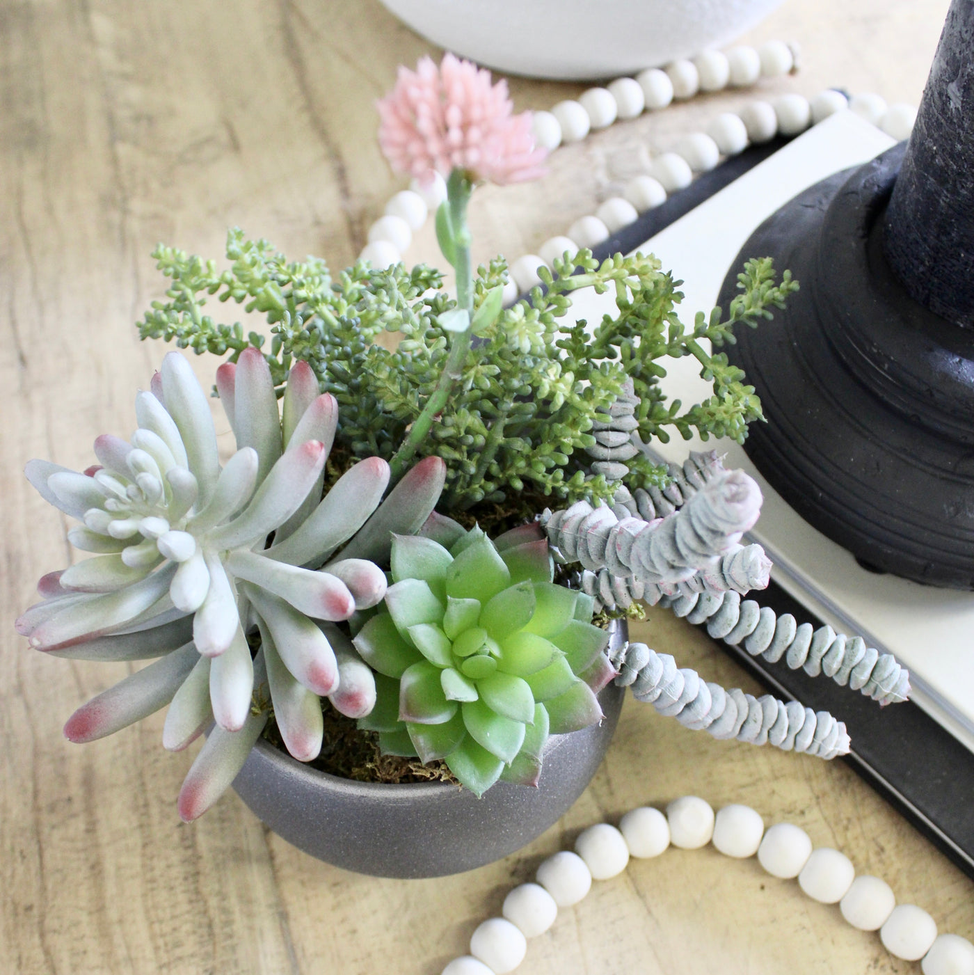 Succulent Mix