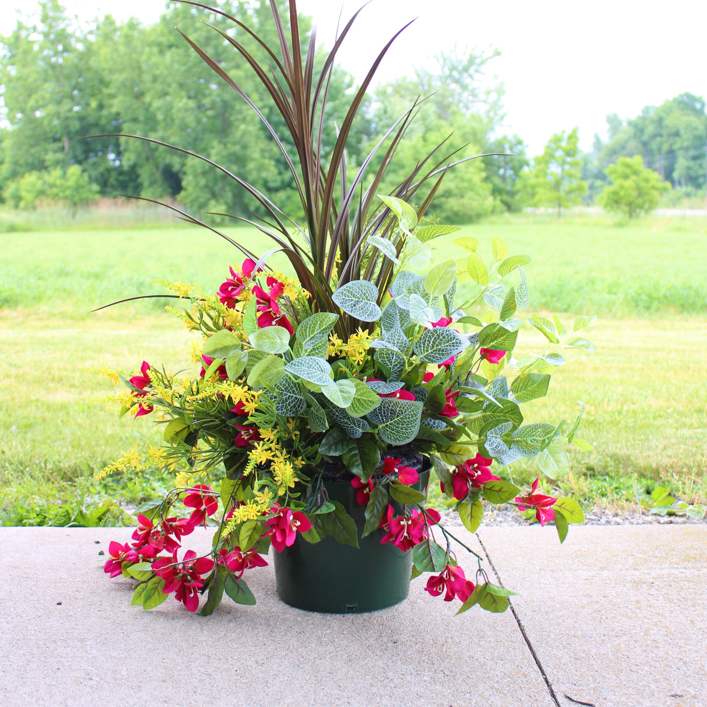 Raspberry Bougainvillea Mixed “Drop-In”