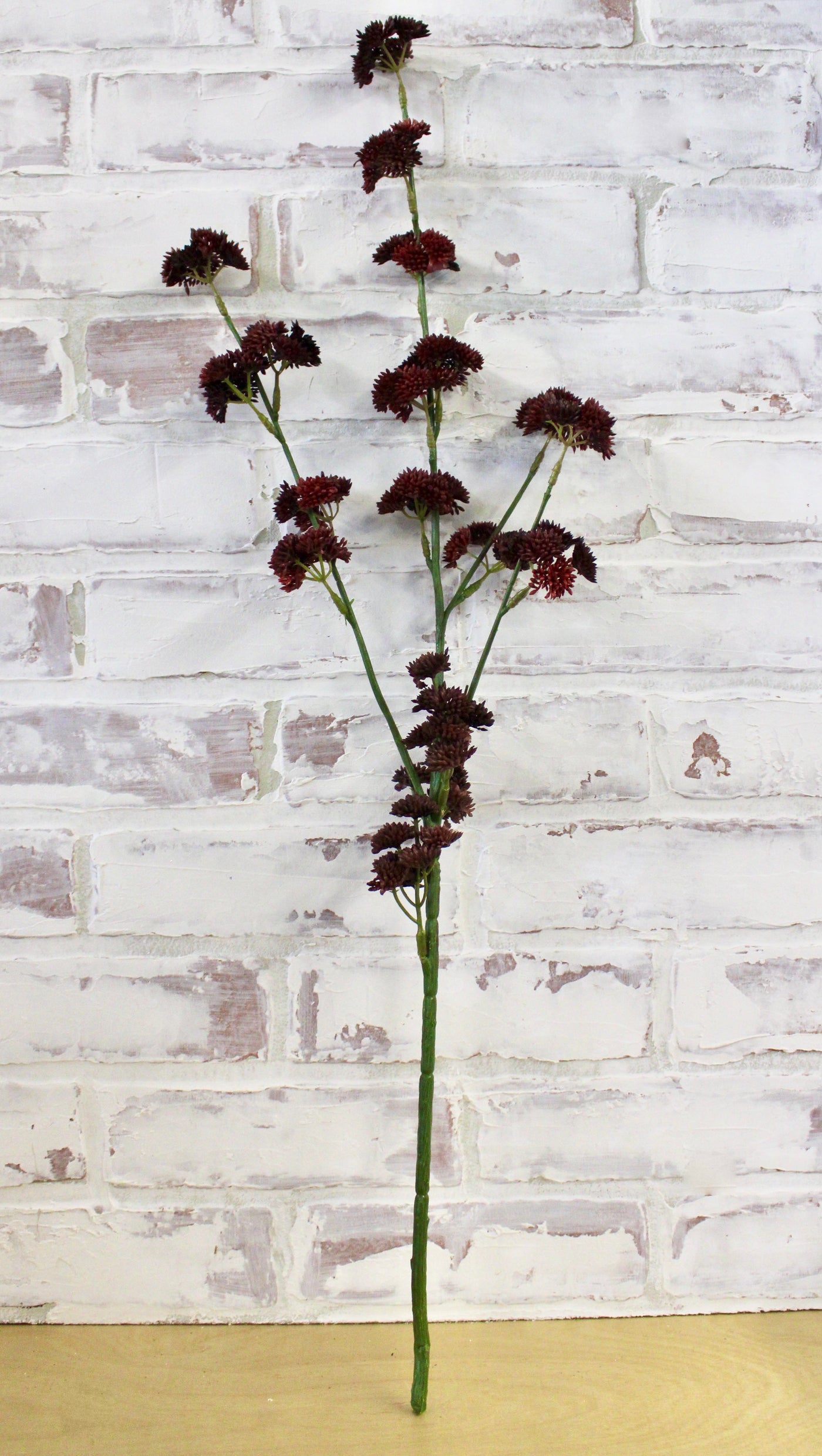 Burgundy Sedum Branch