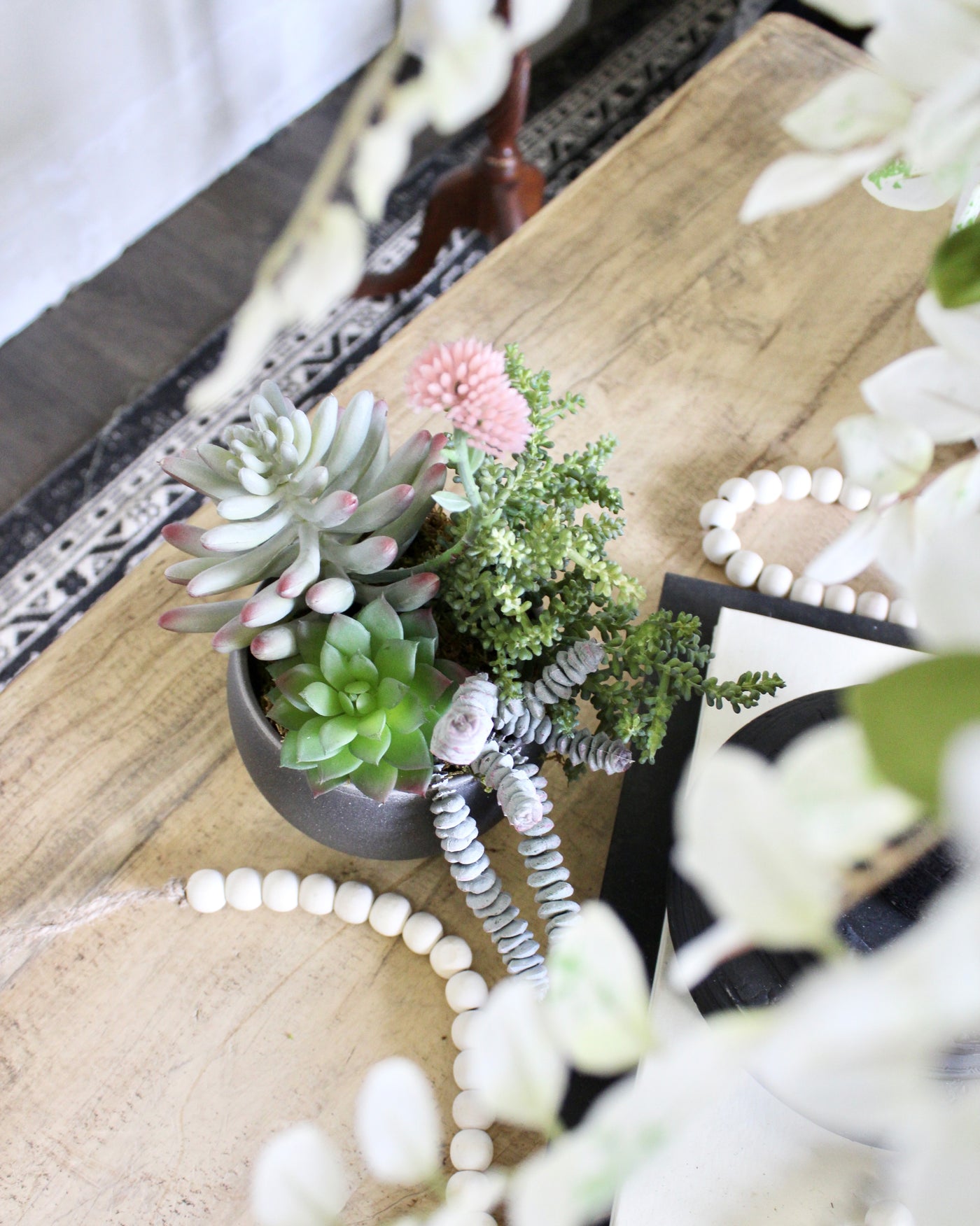 Succulent Mix