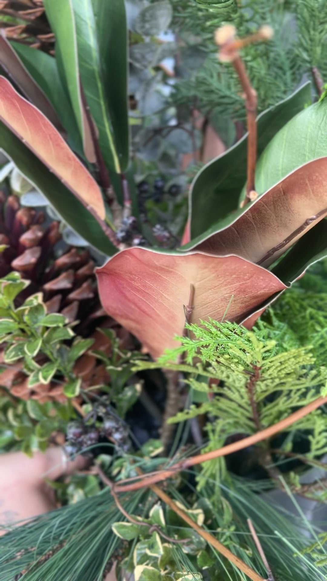 Foraged Winter “Drop-In” Arrangement