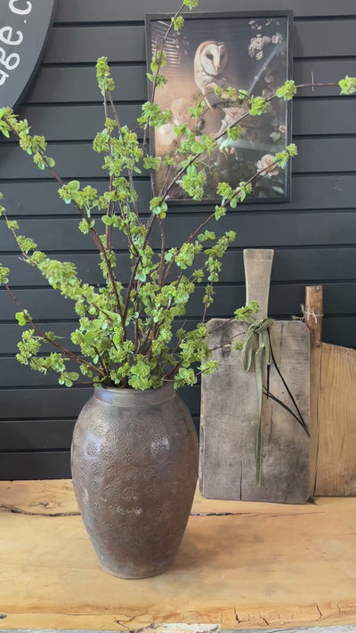 Seeded Branch