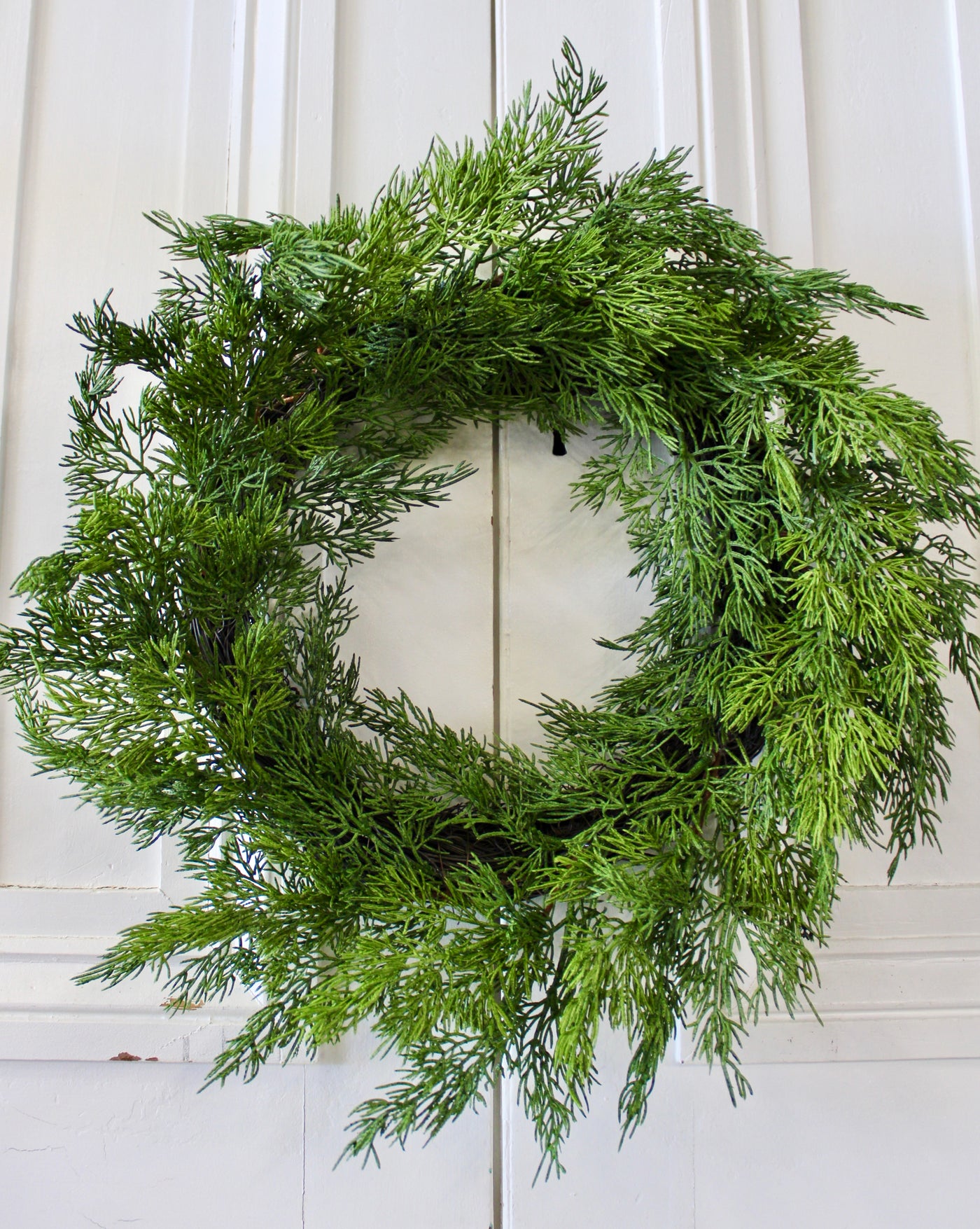 20” Eastern White Cedar Wreath ( Real Touch)