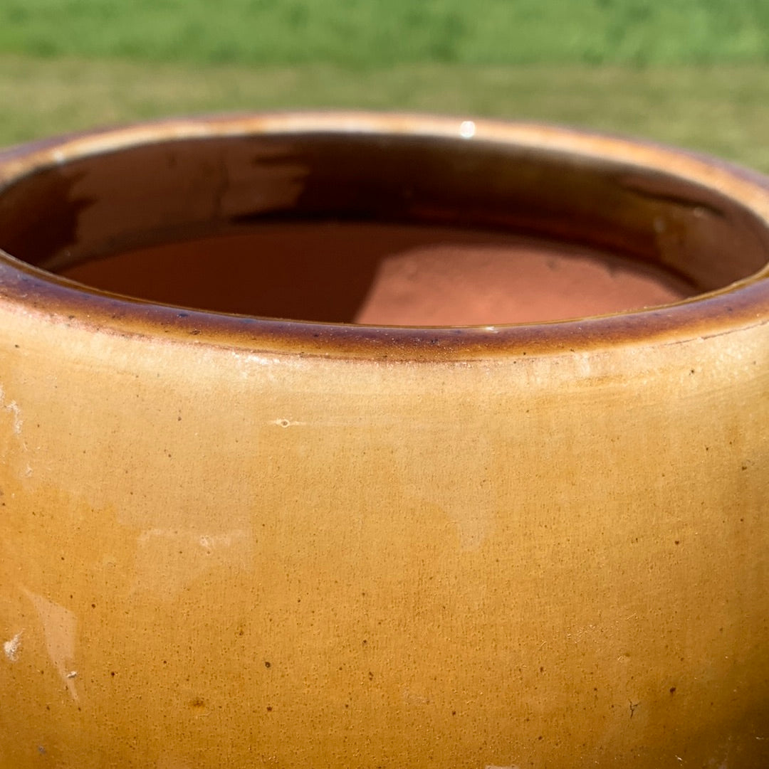 Small Glazed Honey Pot