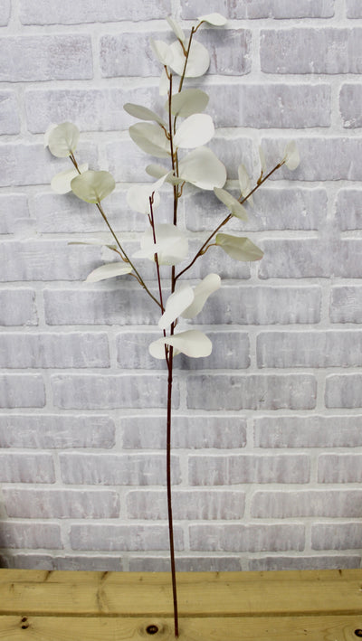 Bleached Eucalyptus Spray