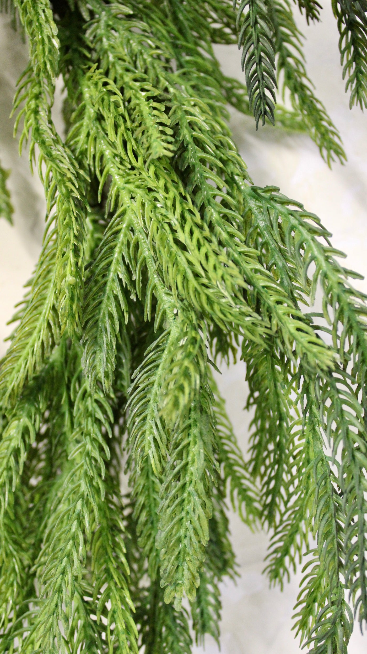 16” Norfolk Pine Wreath (Real Touch)