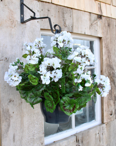 White Upright Geranium Hanging Basket
