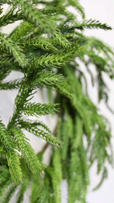 16” Norfolk Pine Wreath (Real Touch)