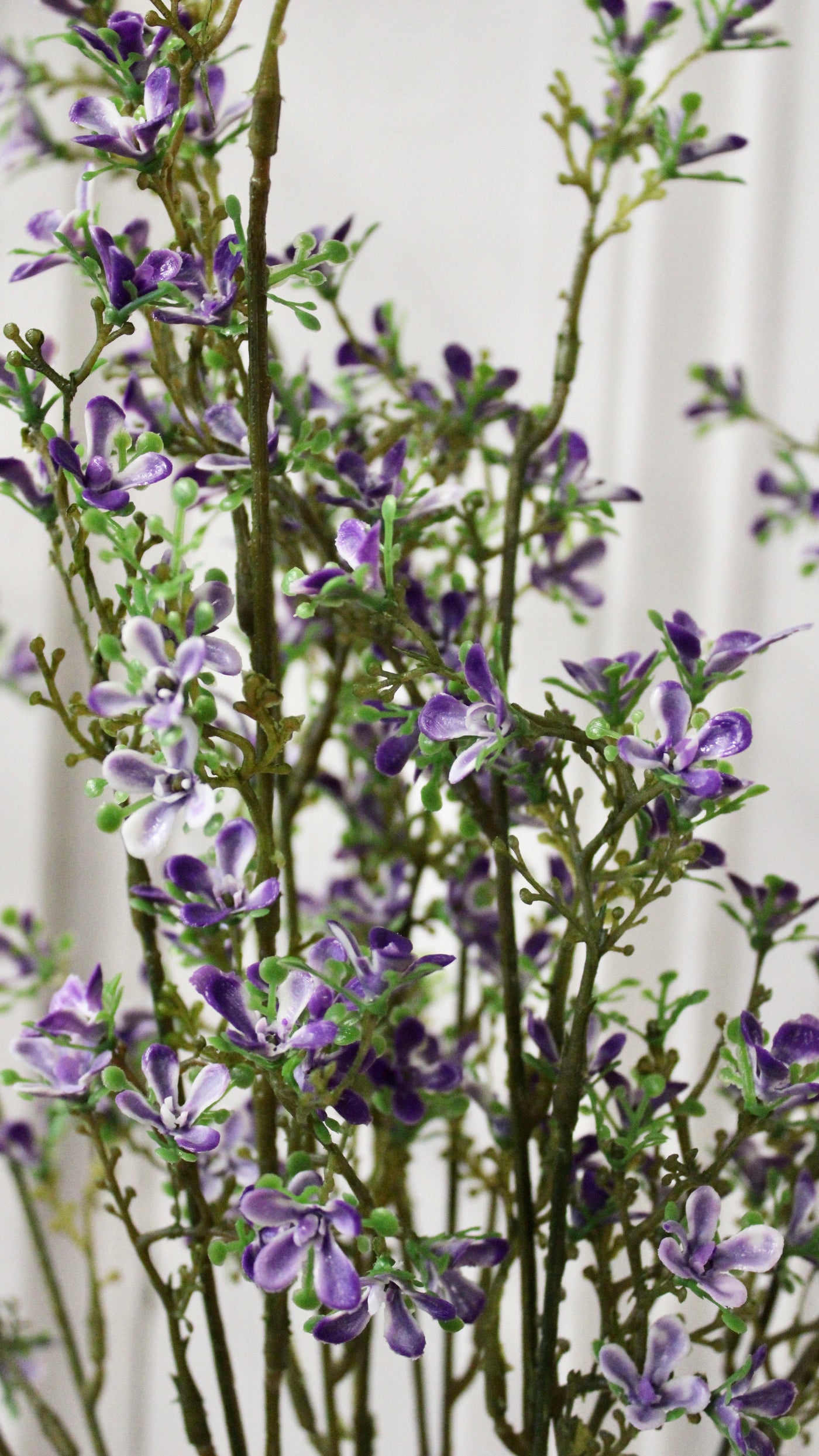 Purple Mini Flower Bush