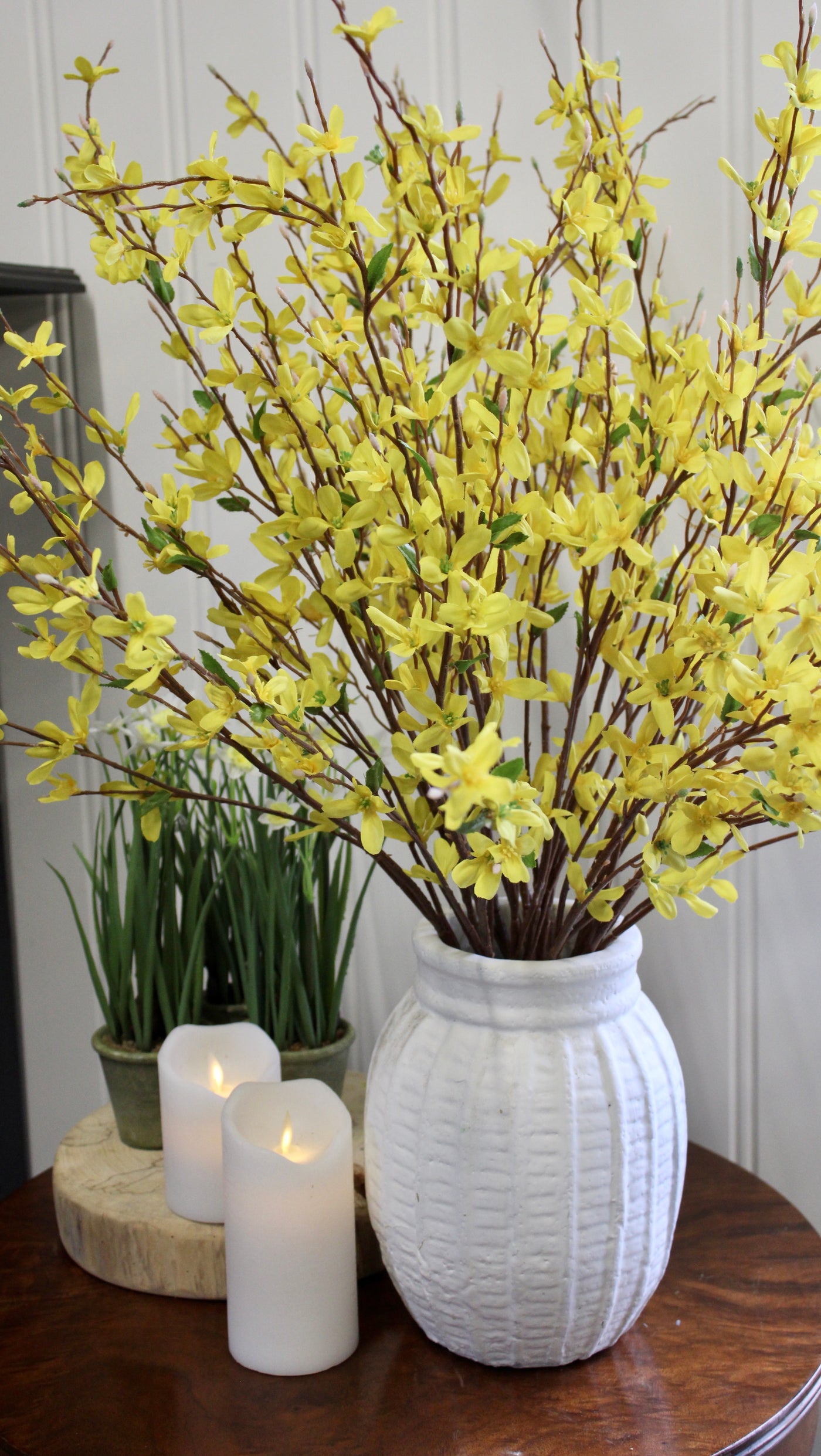 Forsythia Bush