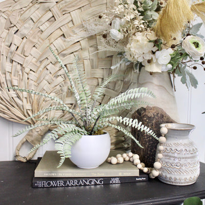 Potted Sword Fern