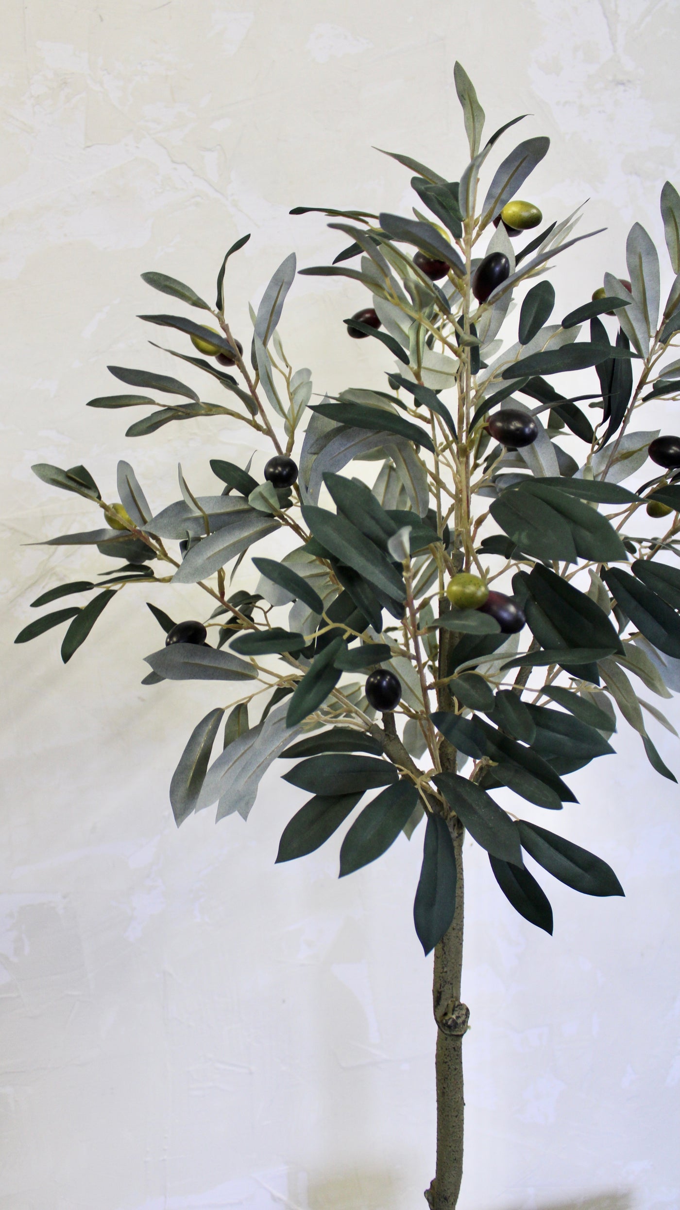 3’ Olive Leaf Topiary