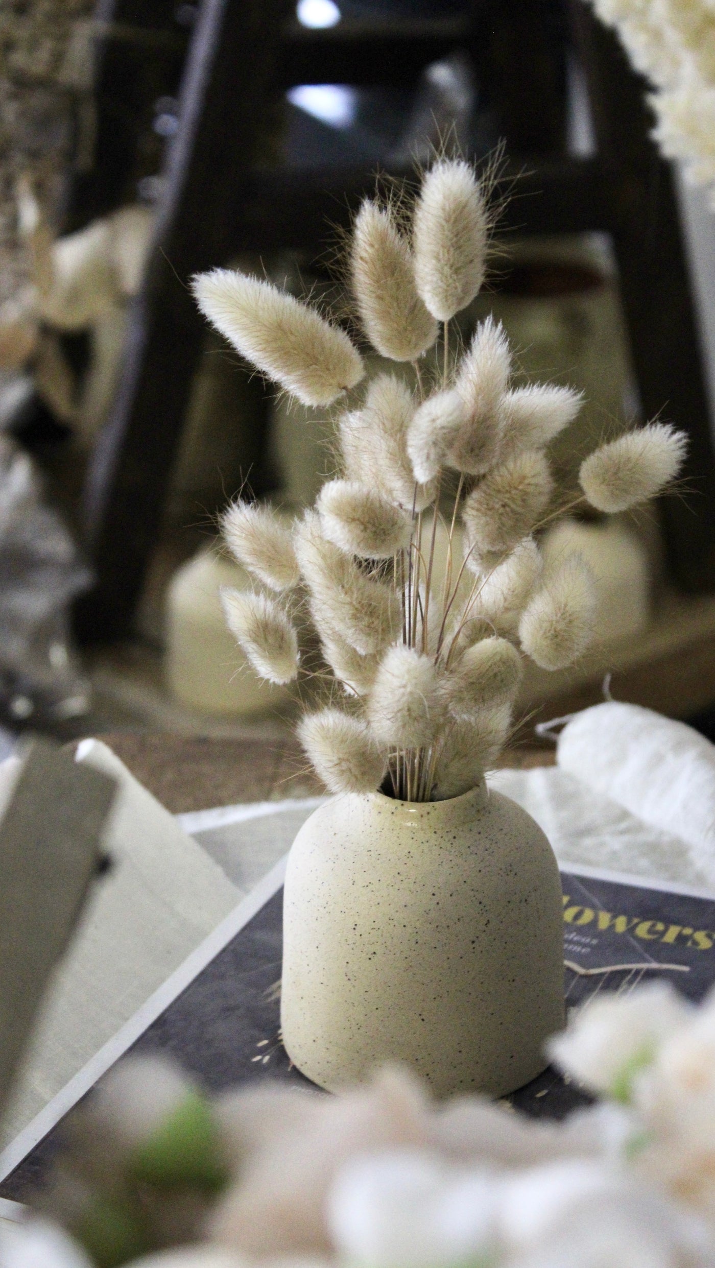 Potted Dried Bunny Tails