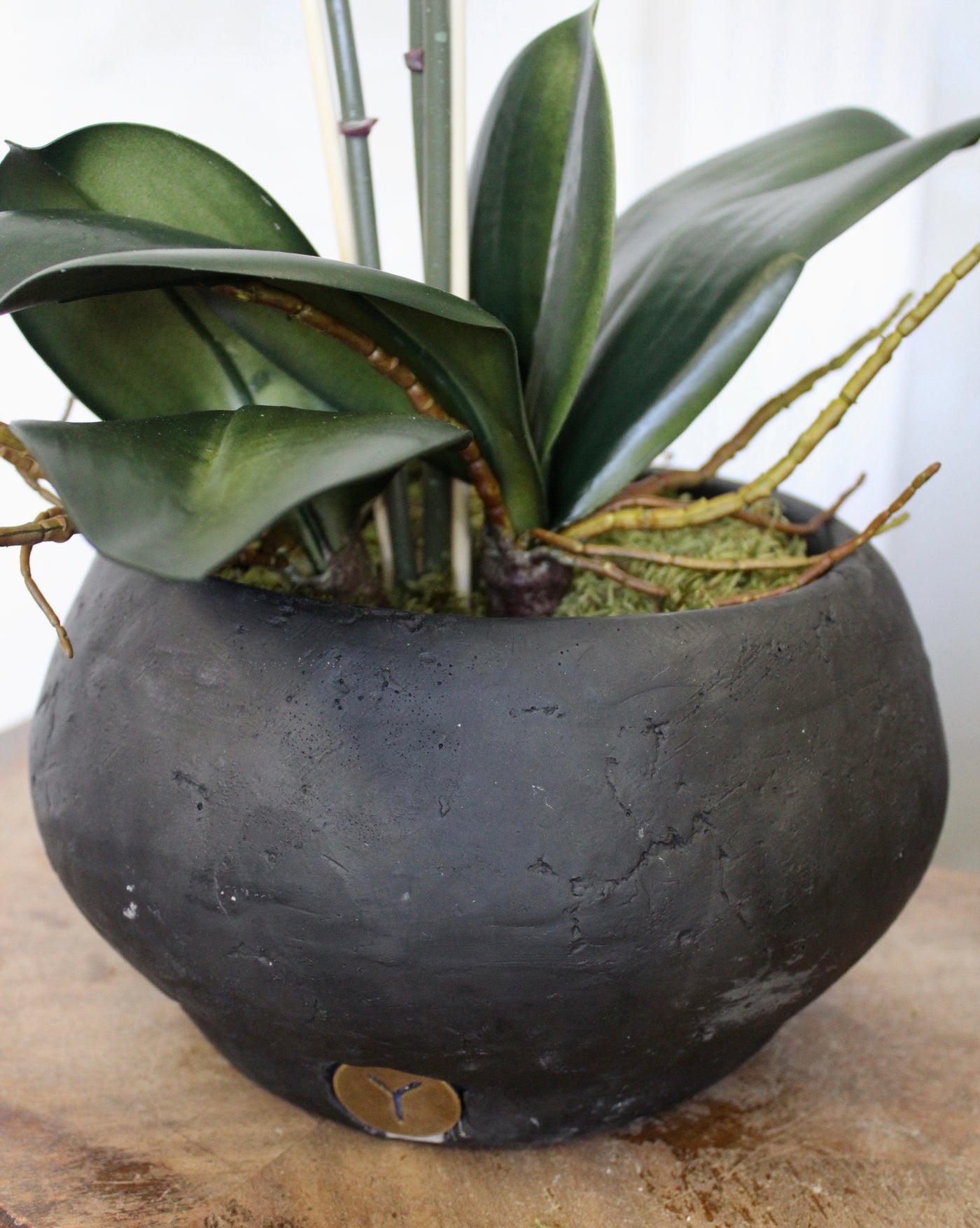 Phalaenopsis Orchid Arrangement