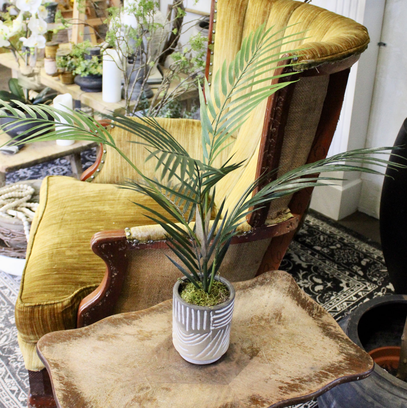 Potted Palm Spray