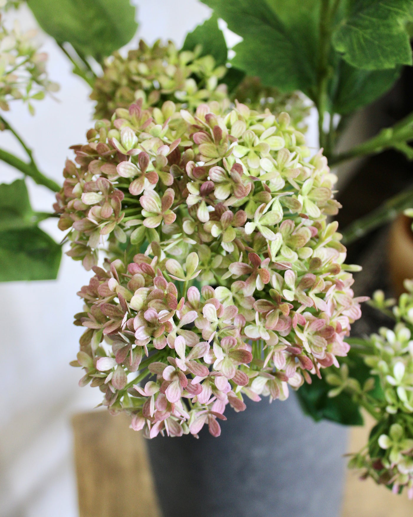 Snowball Hydrangea Branch