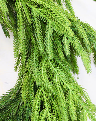24” Norfolk Pine Wreath (Real Touch)