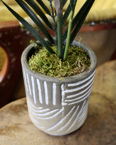 Potted Palm Spray
