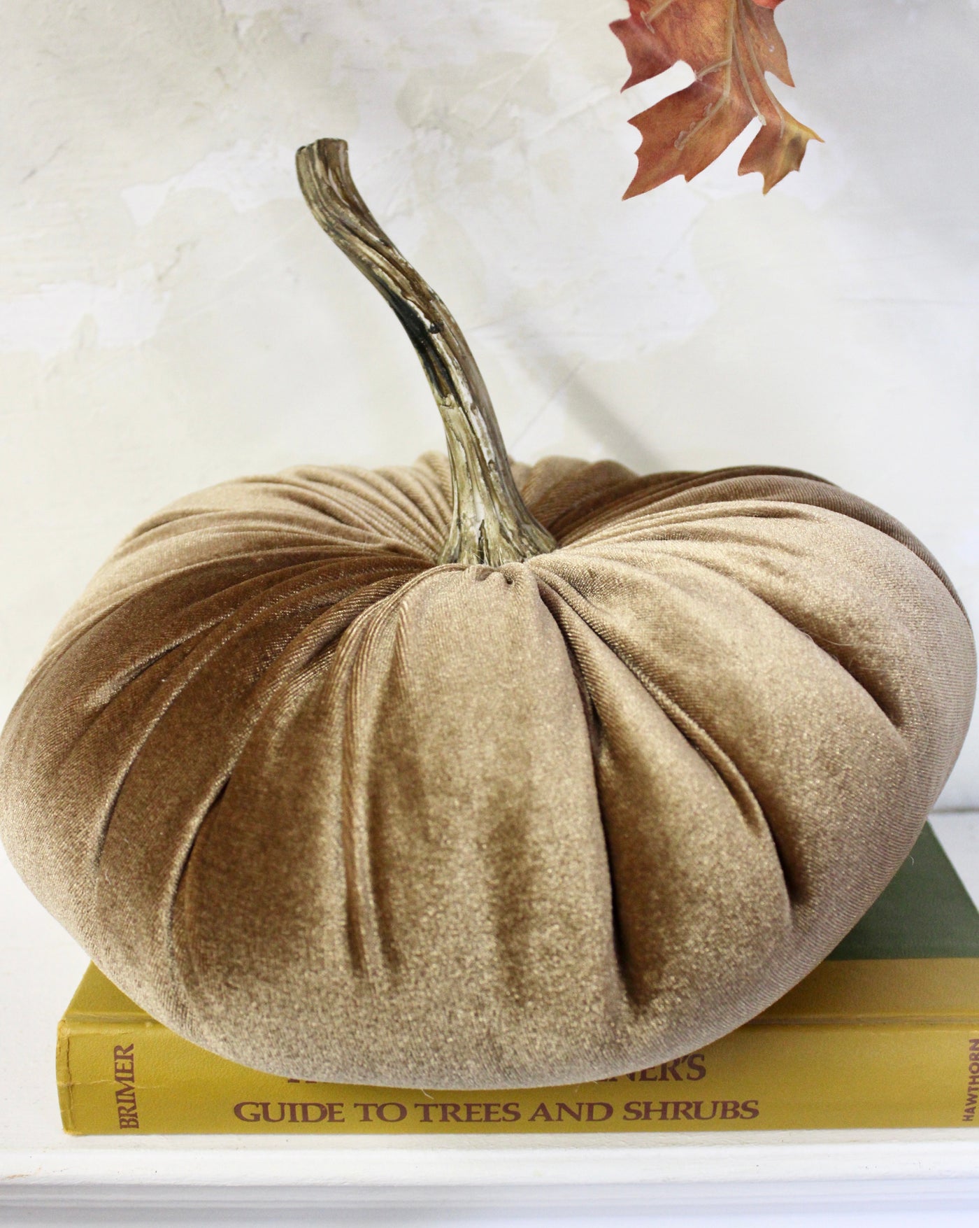 Velvet Pumpkins