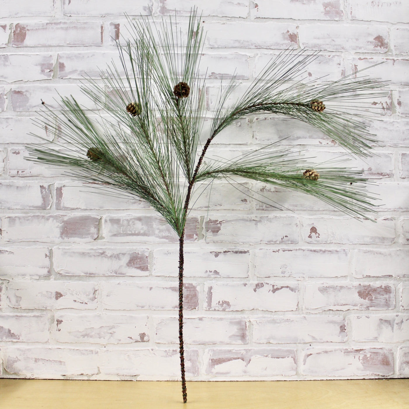 Eastern Pine Branch