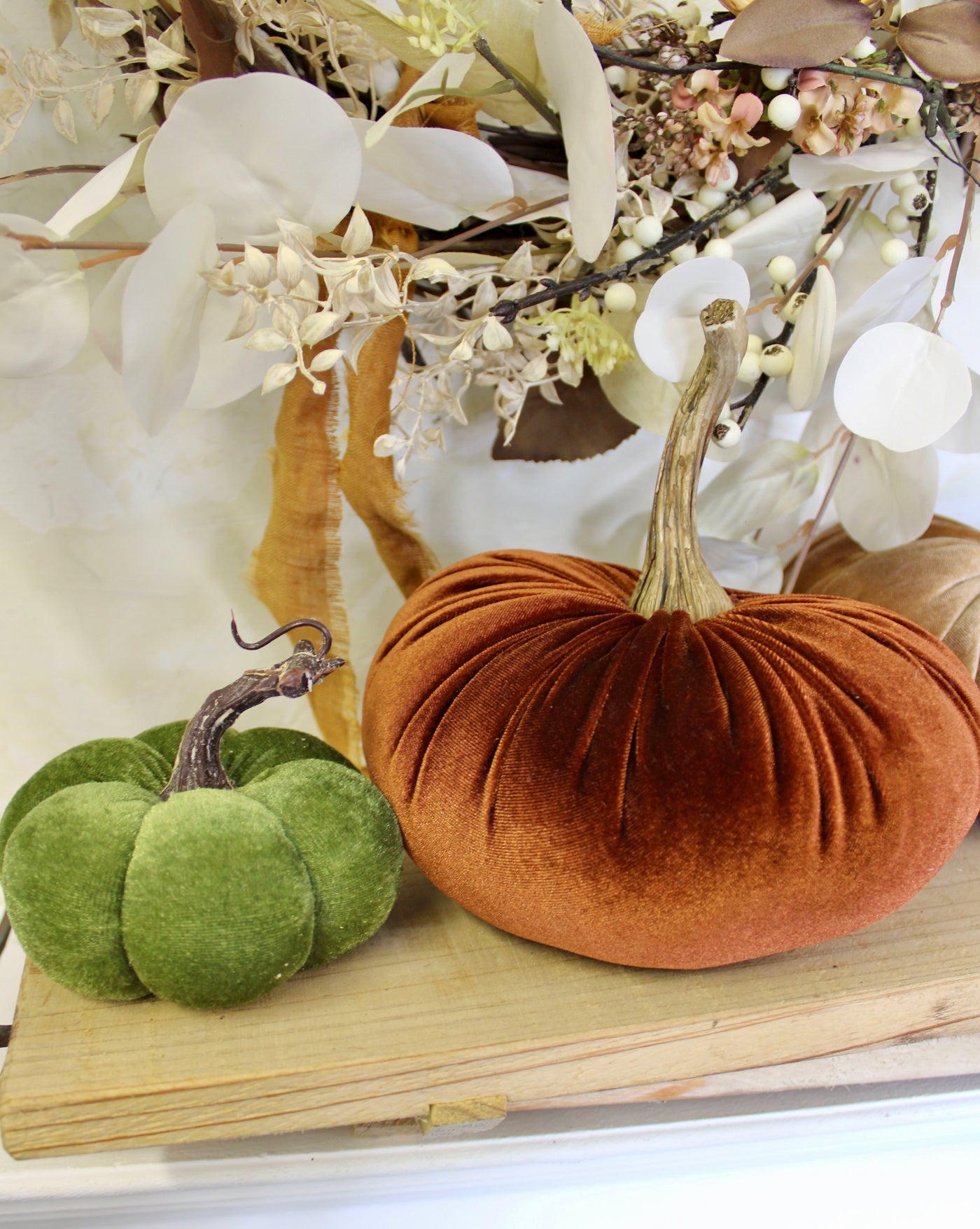 Velvet Pumpkins