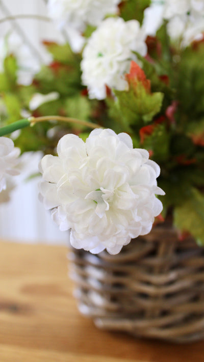 White Zinnia Basket