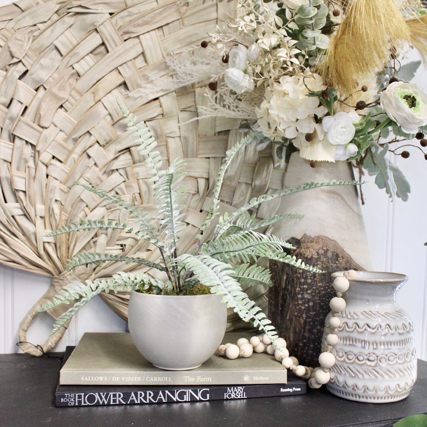 Potted Sword Fern