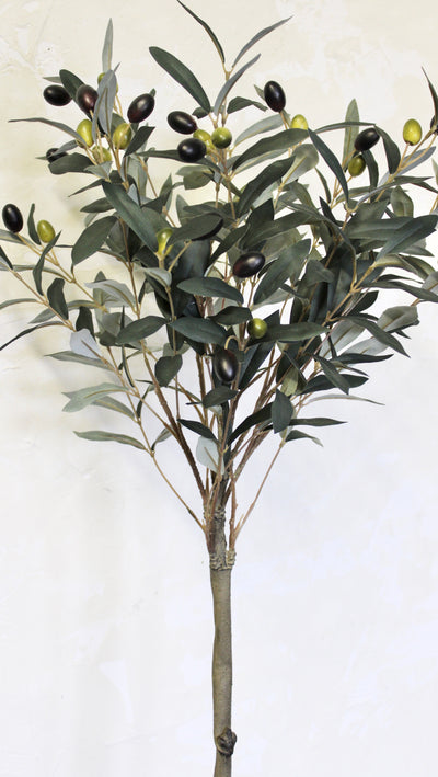 37” Potted Olive Topiary