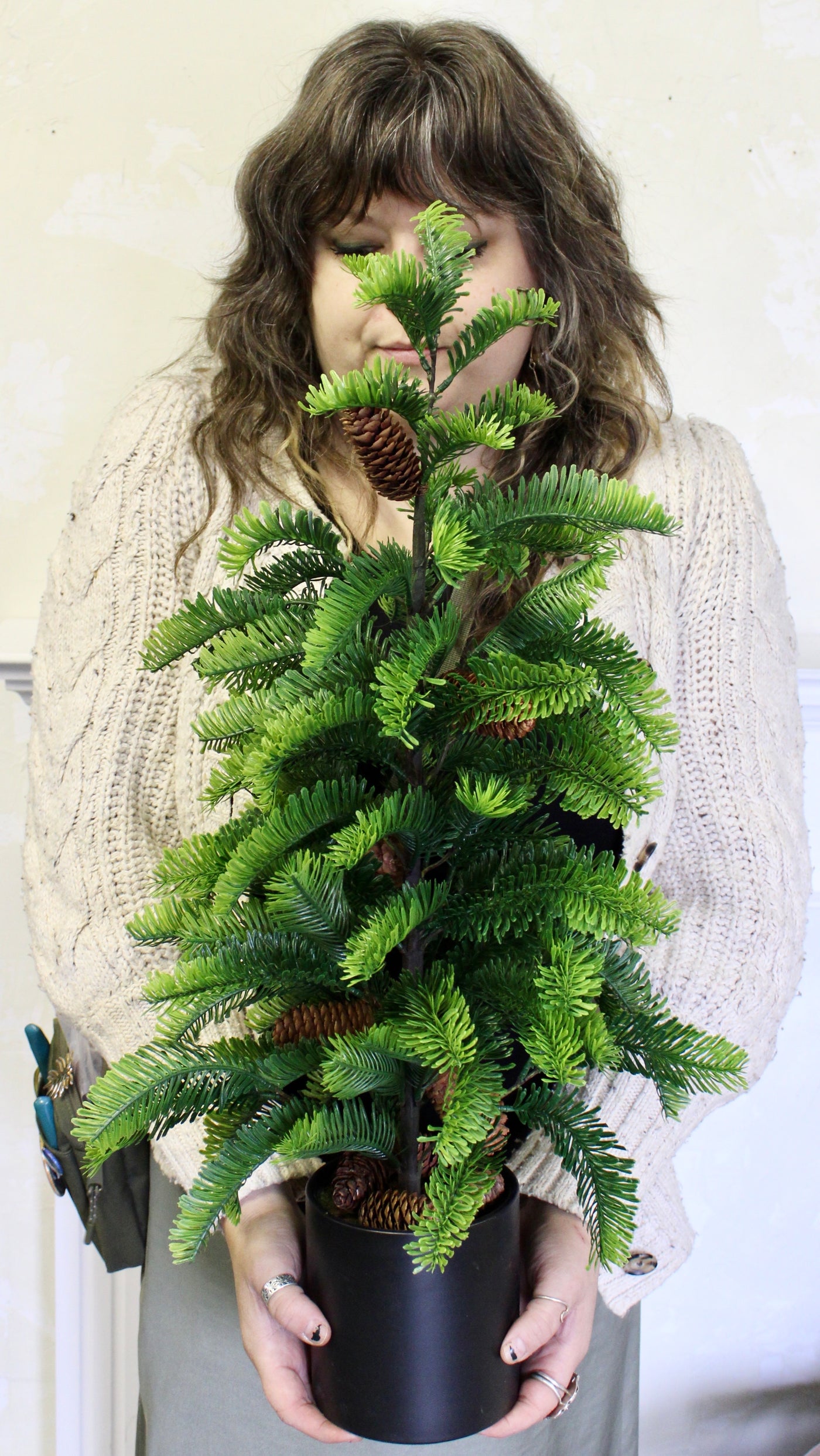 Potted Balsam Fir Trees