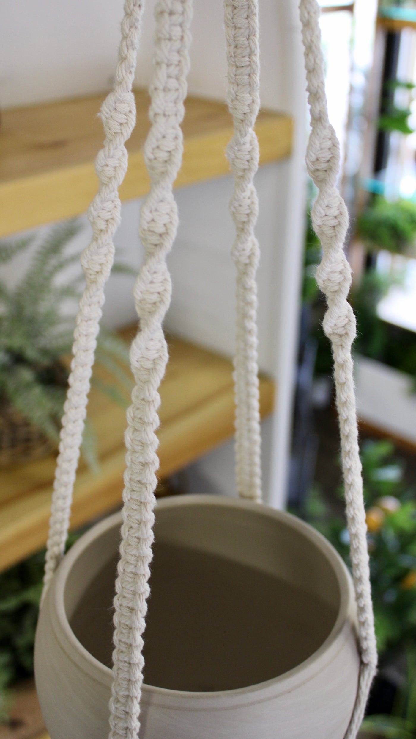 “So Knotted” Macramé Plant Hangers