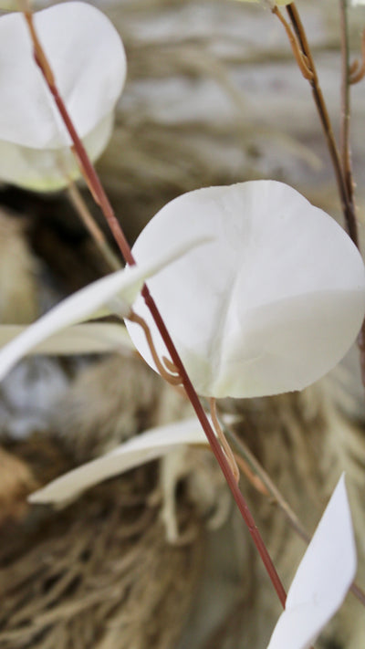 Bleached Eucalyptus Spray