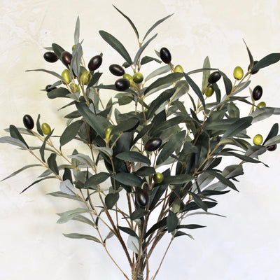 37” Potted Olive Topiary