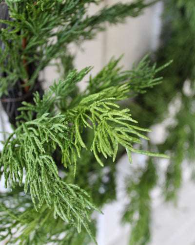 20” Eastern White Cedar Wreath ( Real Touch)