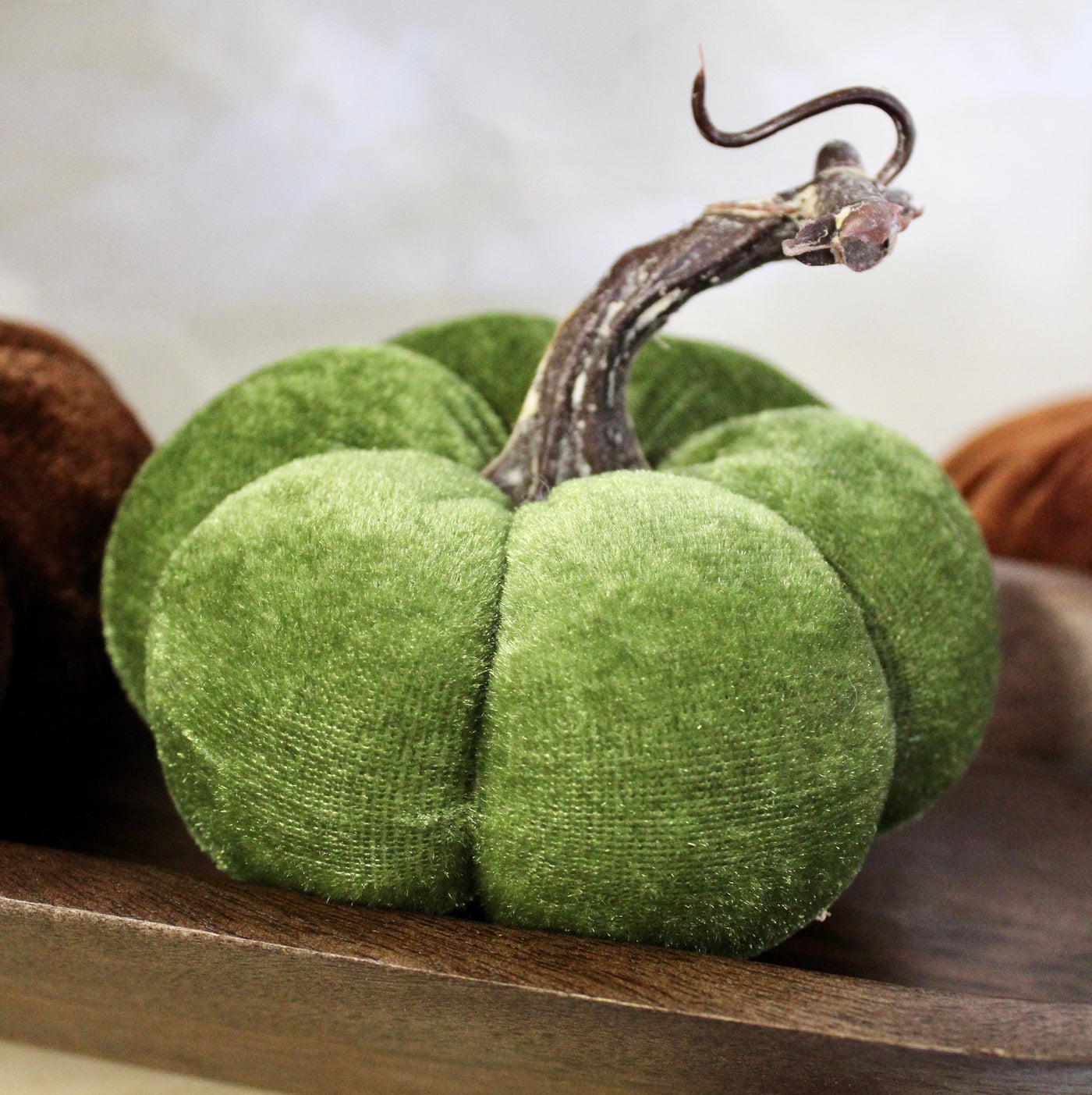 Velvet Pumpkins