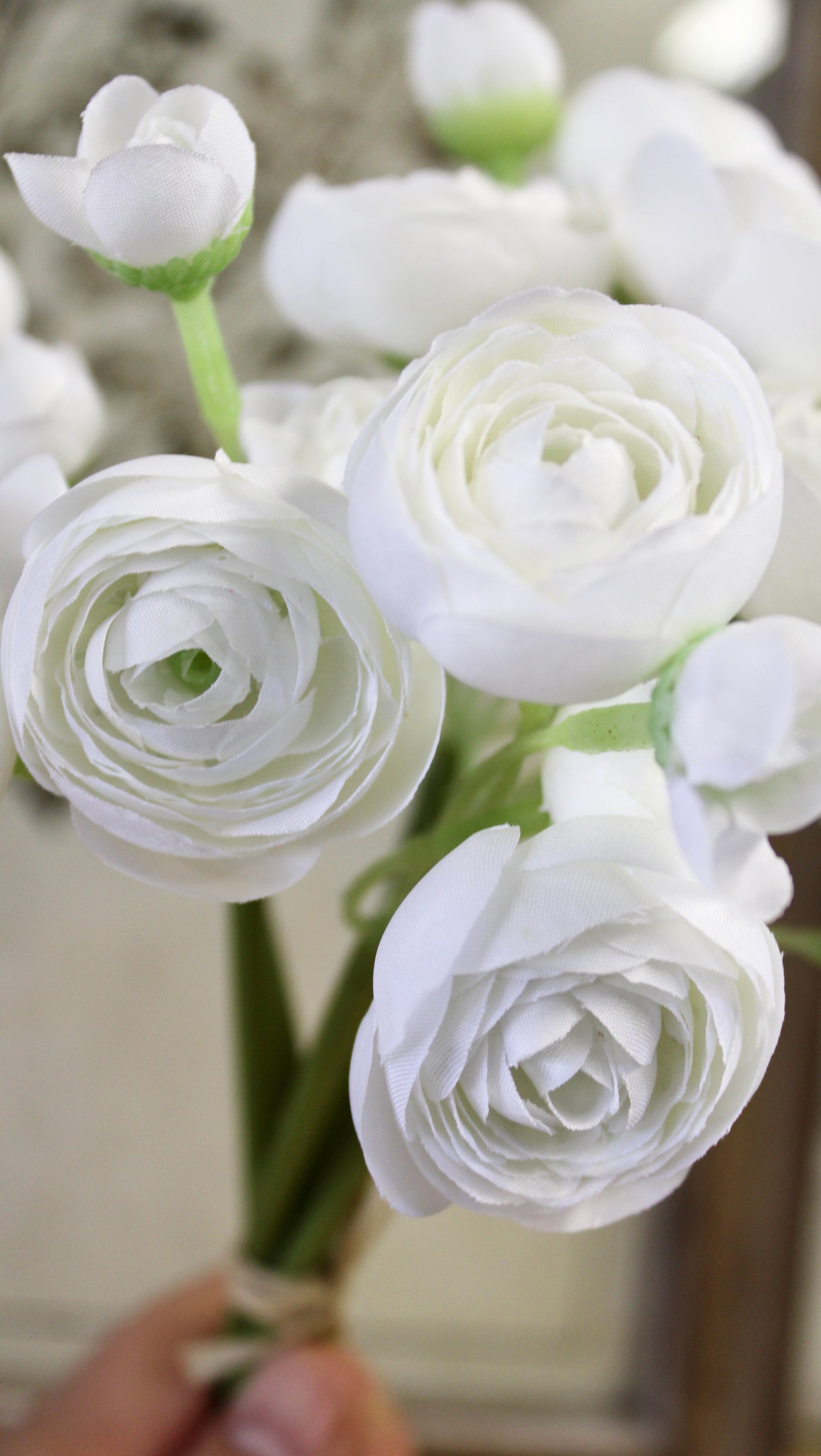 White Ranunculus Bundle