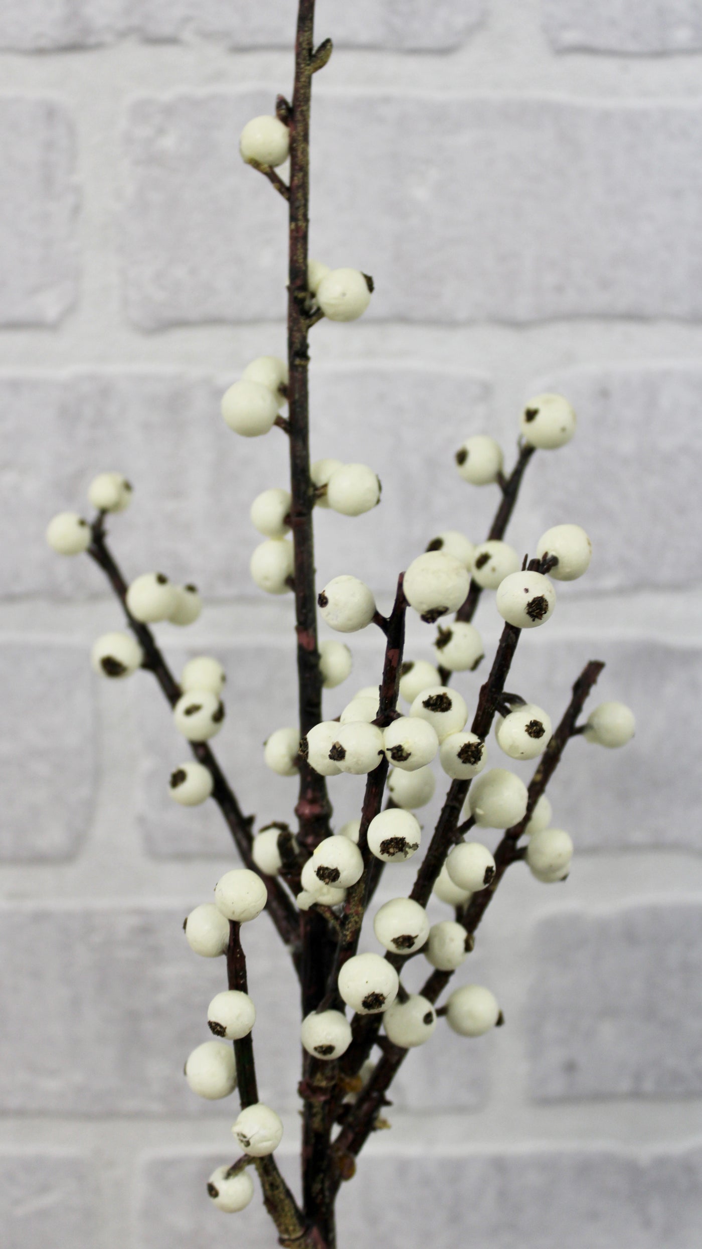 White Berry Pick