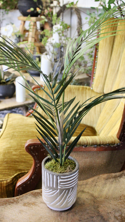 Potted Palm Spray