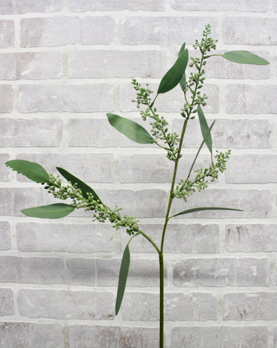 Seeded Eucalyptus Spray